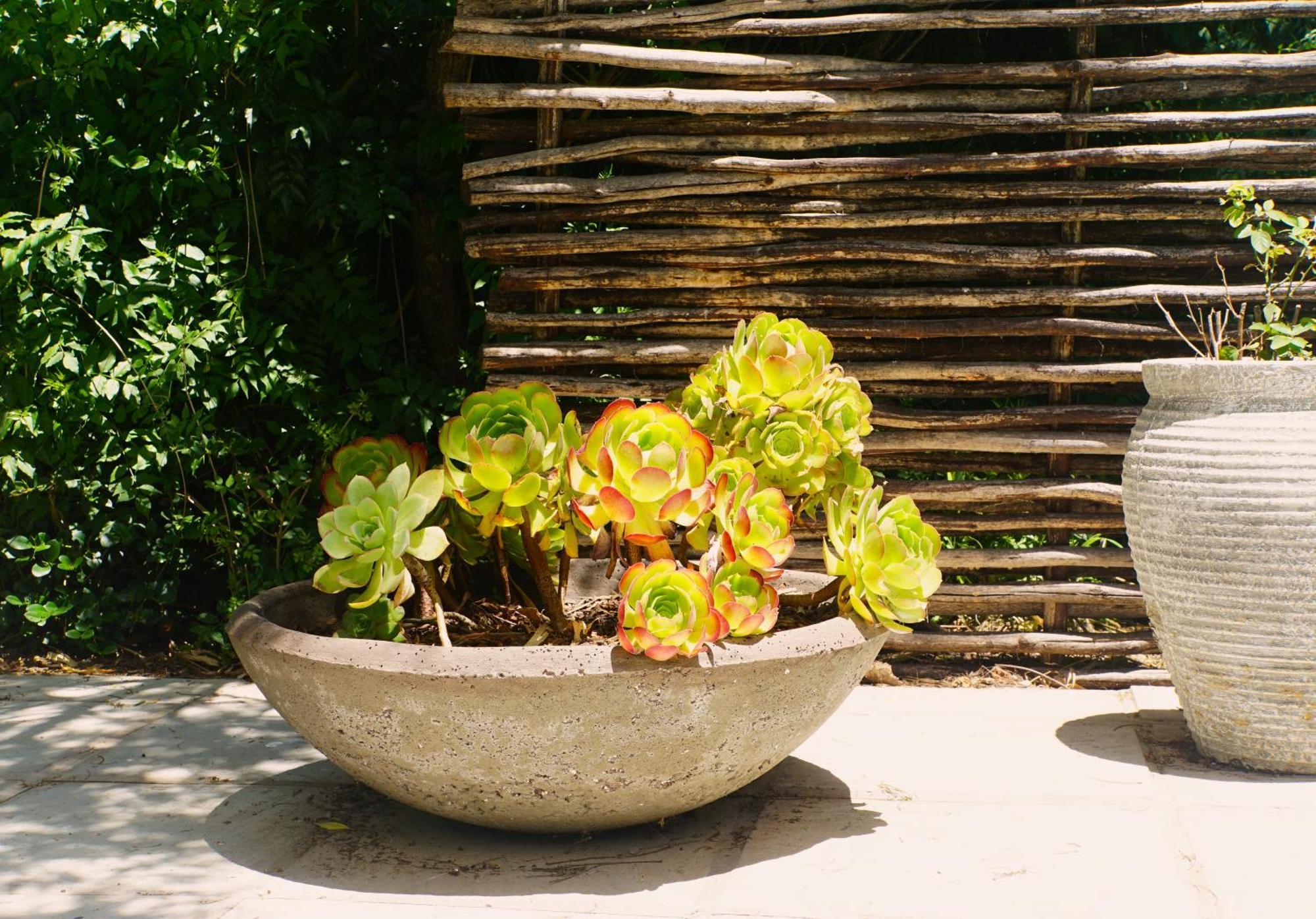Swellendam Country Lodge - Guest House - B&B Extérieur photo