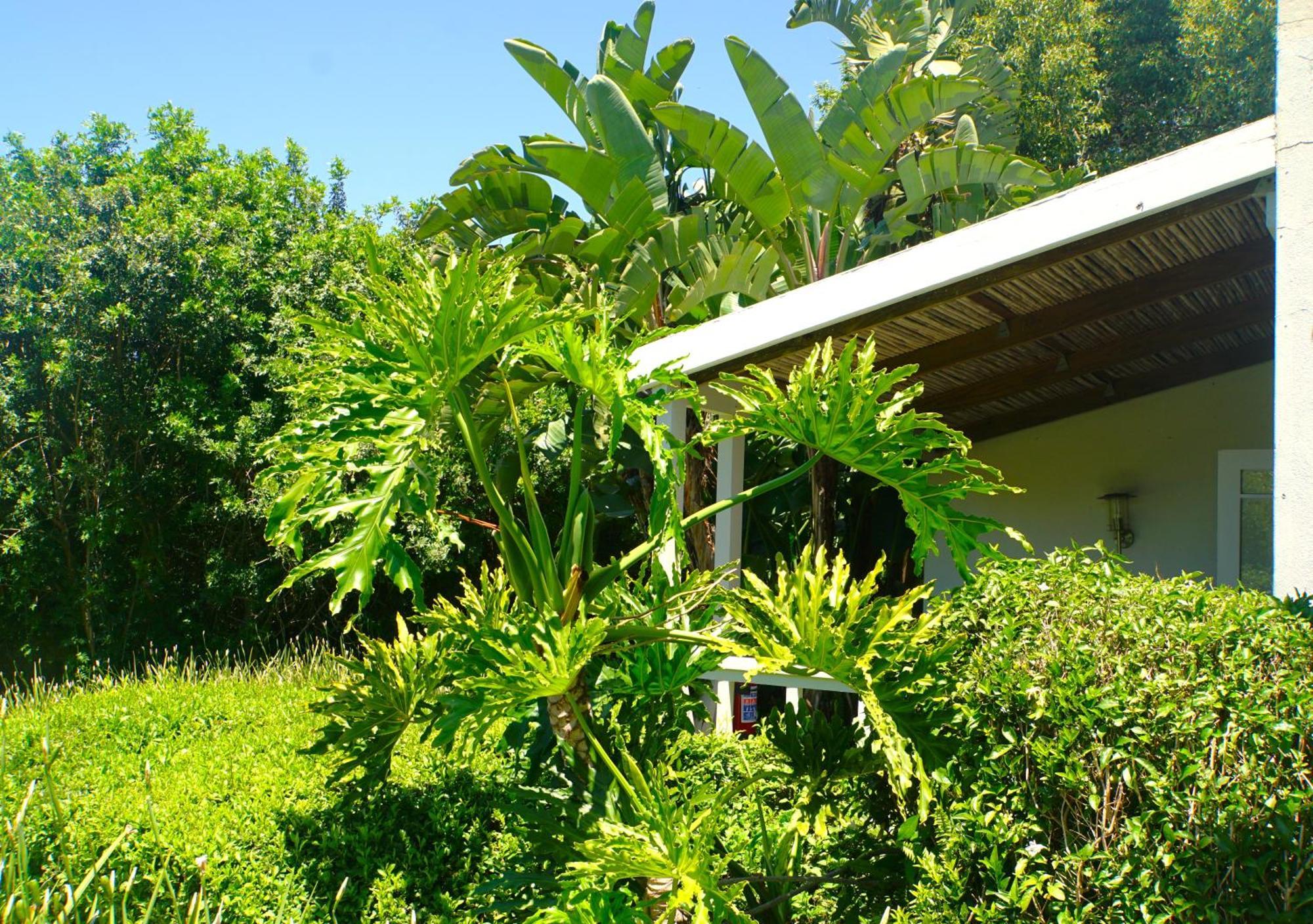 Swellendam Country Lodge - Guest House - B&B Extérieur photo